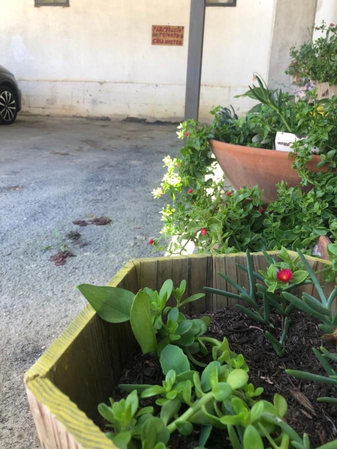 Casanostra Villa San Vito Chietino Buitenkant foto